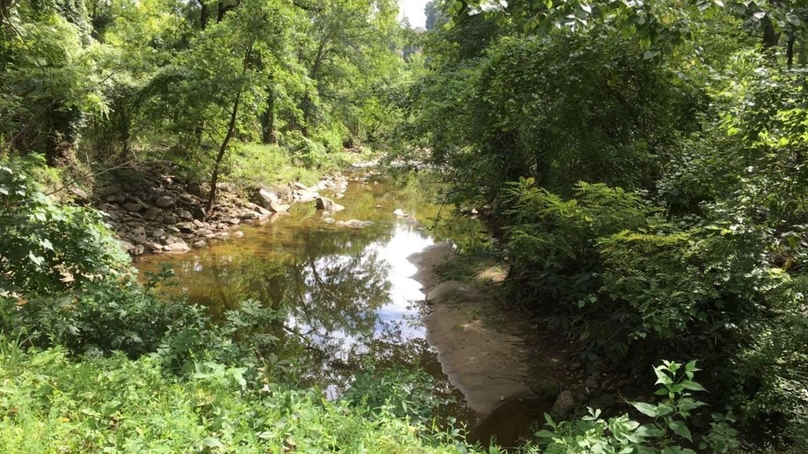 Little Falls Creek at the First Pedestrian Bridge