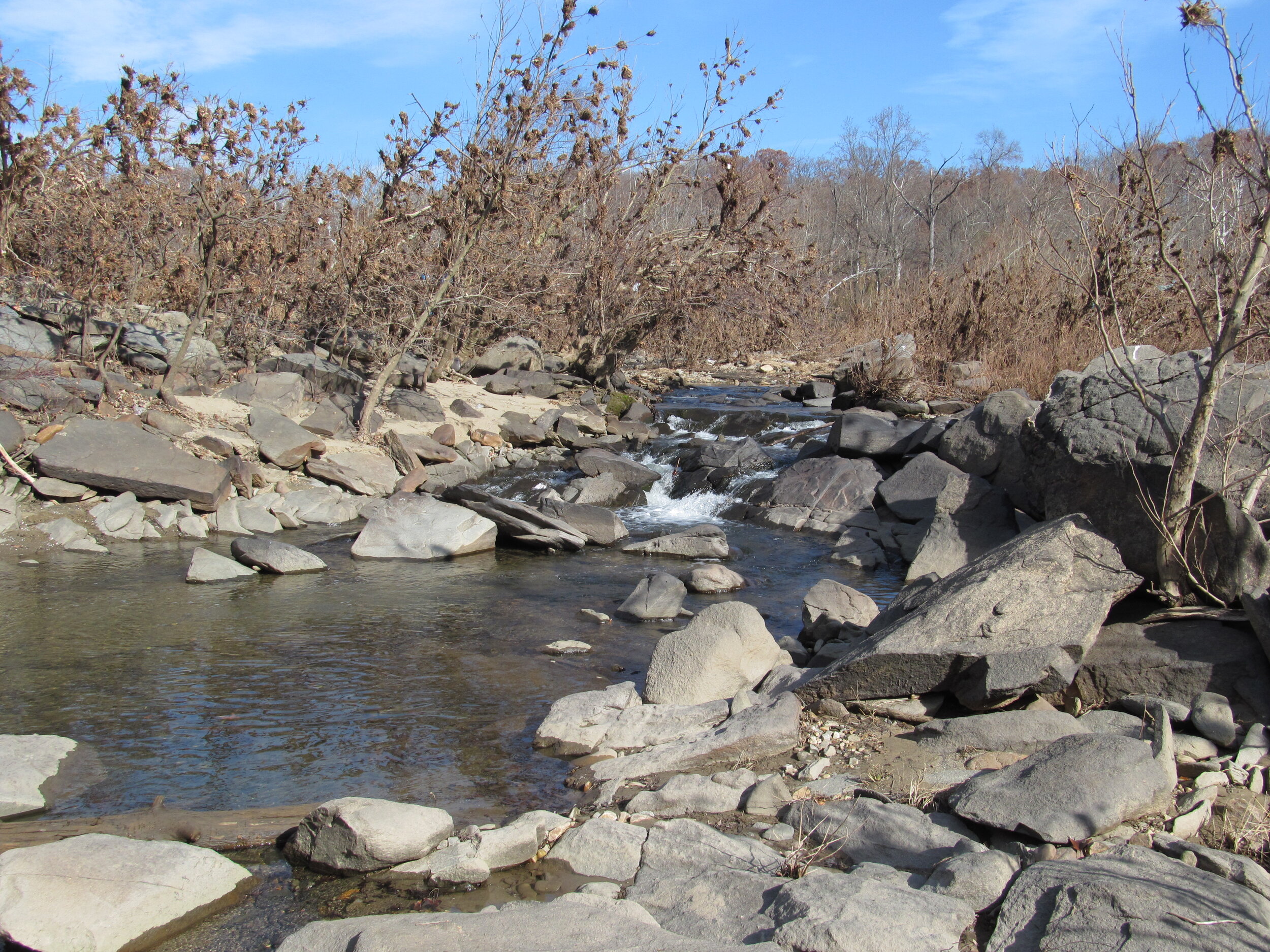 Little Falls Creek Below Massachusetts Ave