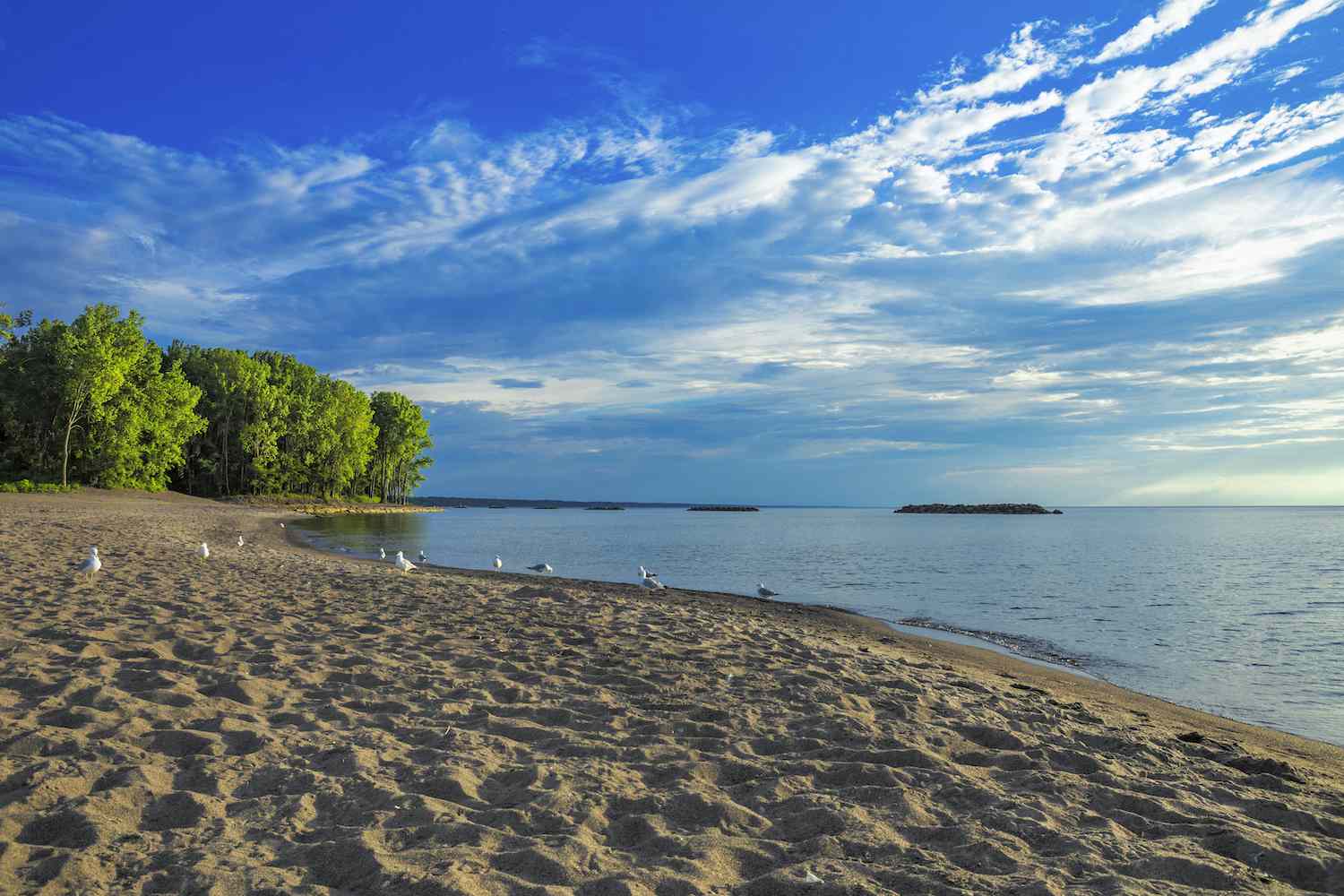 Mill Road Beach