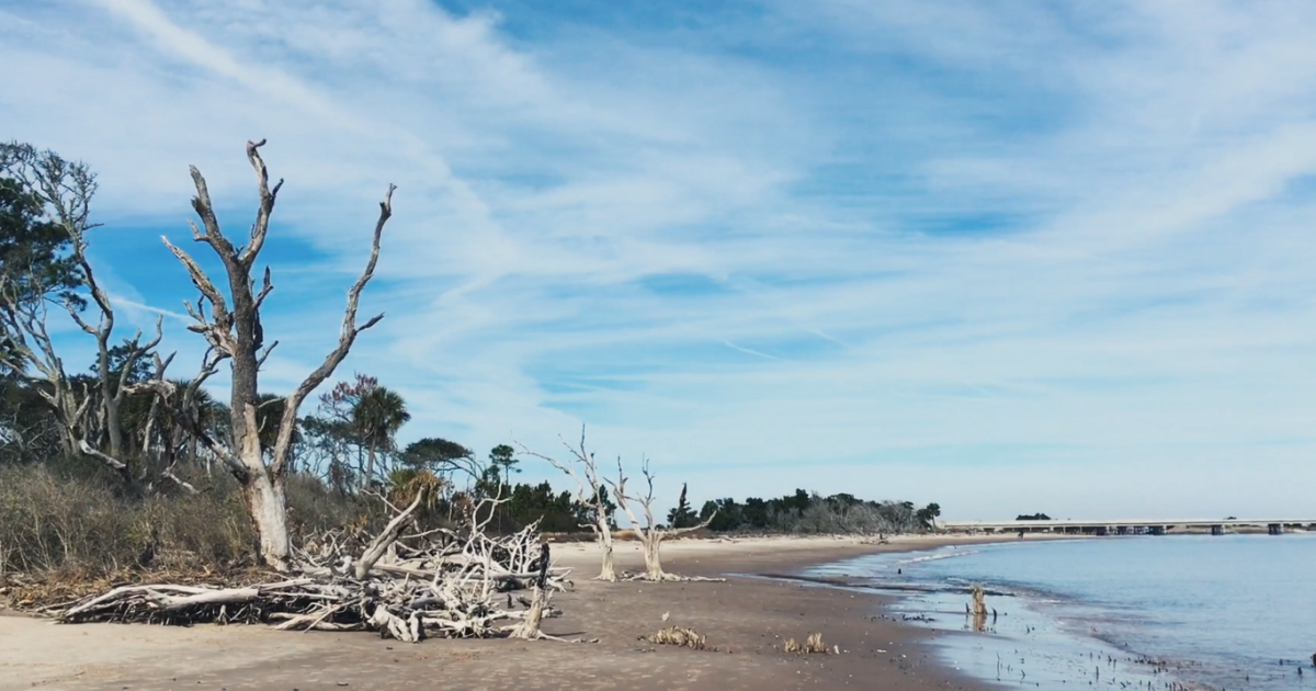 North Little Talbot Island