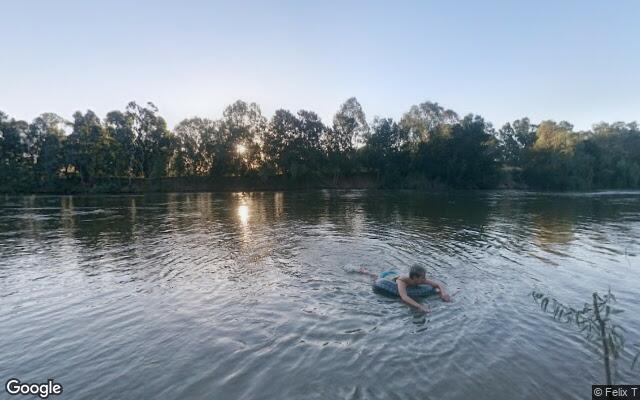 Pine Island - Murrumbidgee River