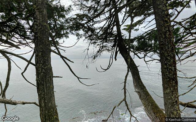 Port Renfrew (Gordon River)