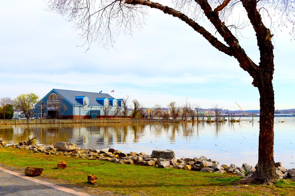 Potomac River - Oronoco Bay Park