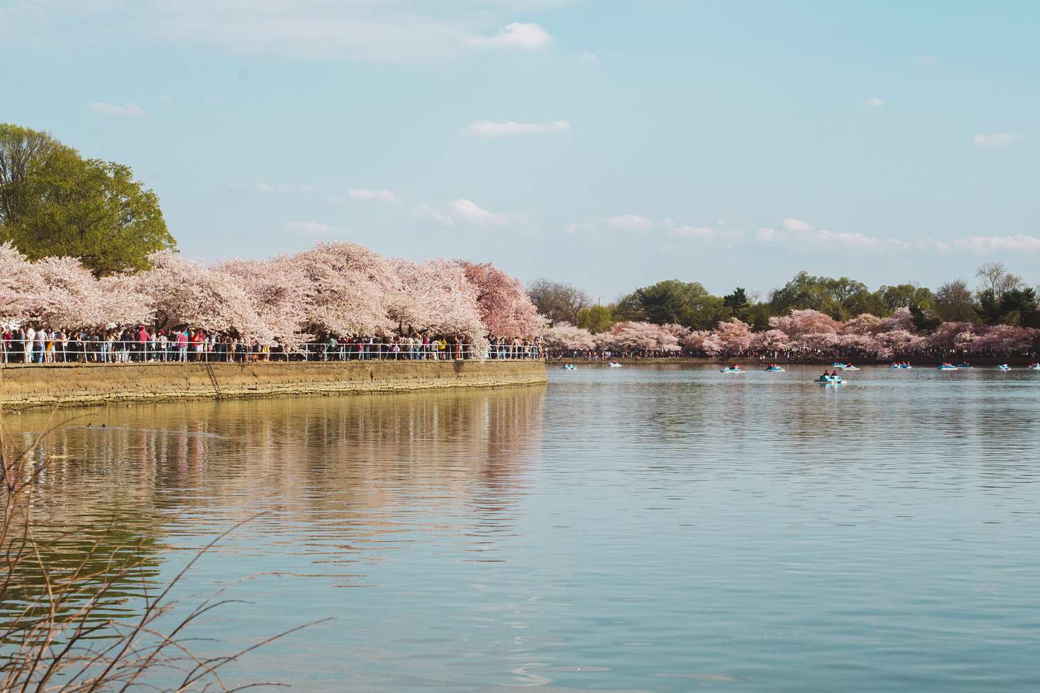 Potomac River - Tidal Basin