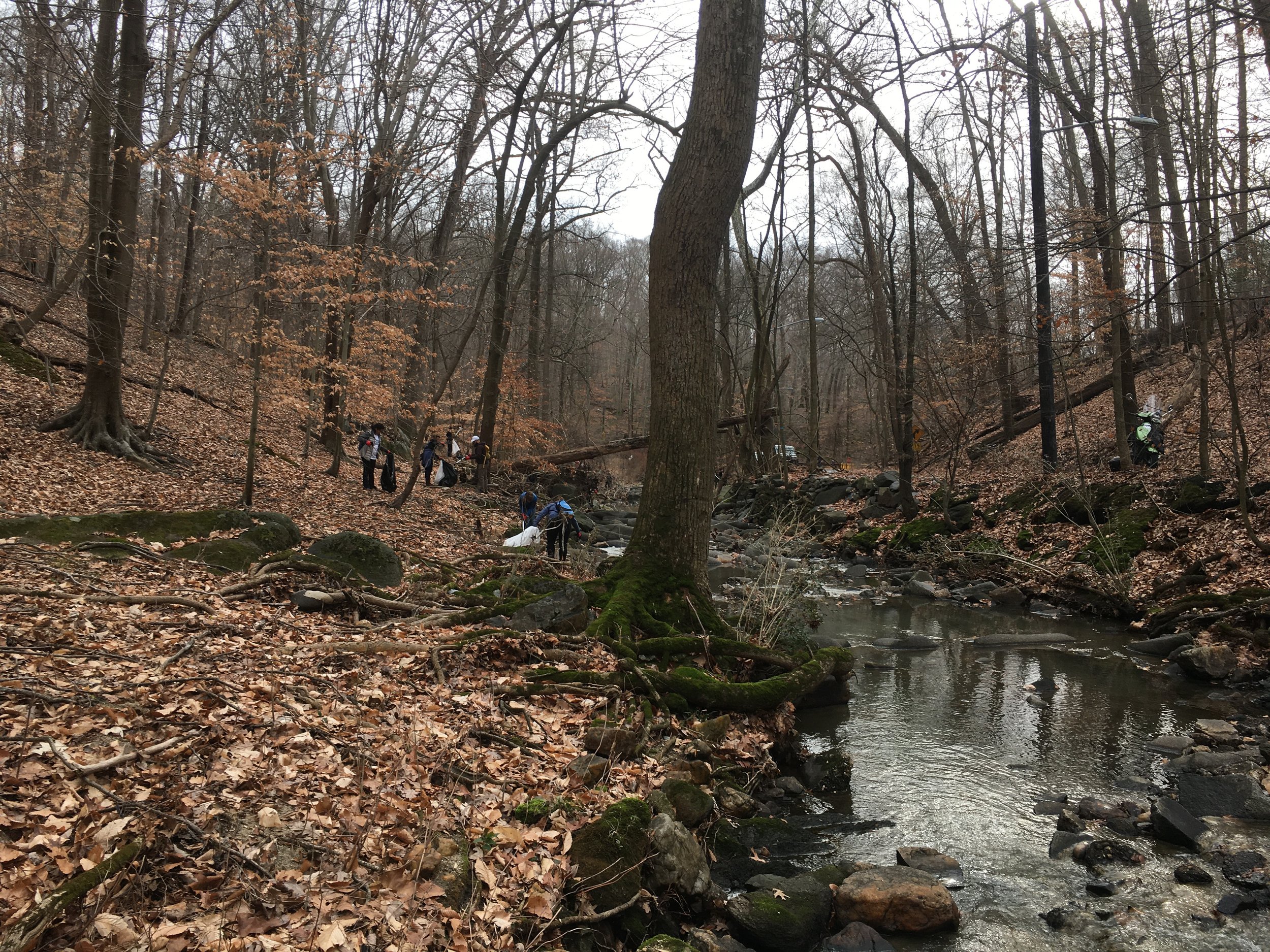 Rock Creek - Broad Branch