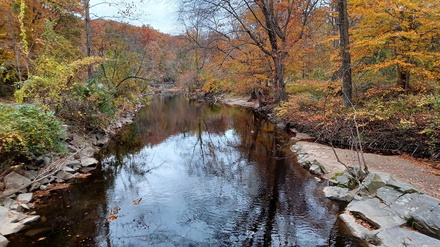 Rock Creek - Normanstone Run