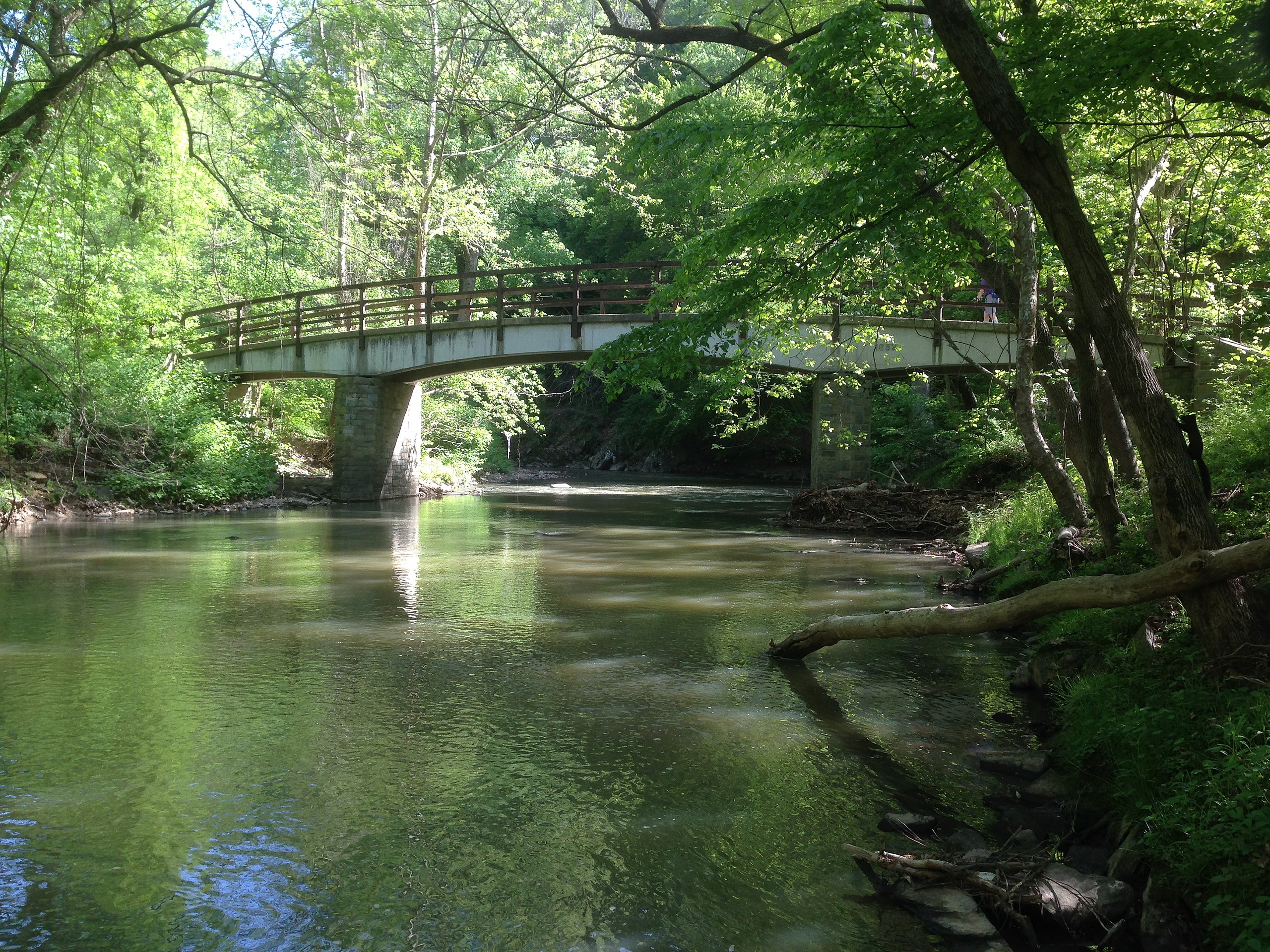 Rock Creek - P Street Beach