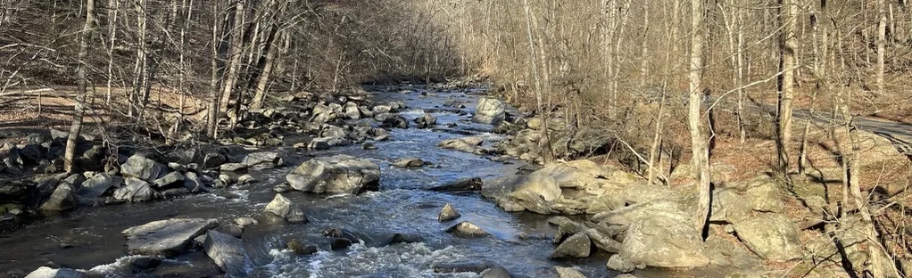 Rock Creek - Pinehurst Branch