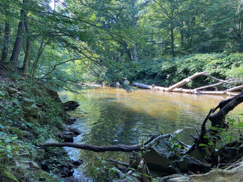 Rock Creek - Rock Creek below Piney Branch