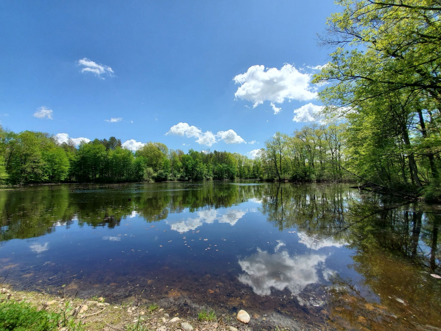 Rose Lake