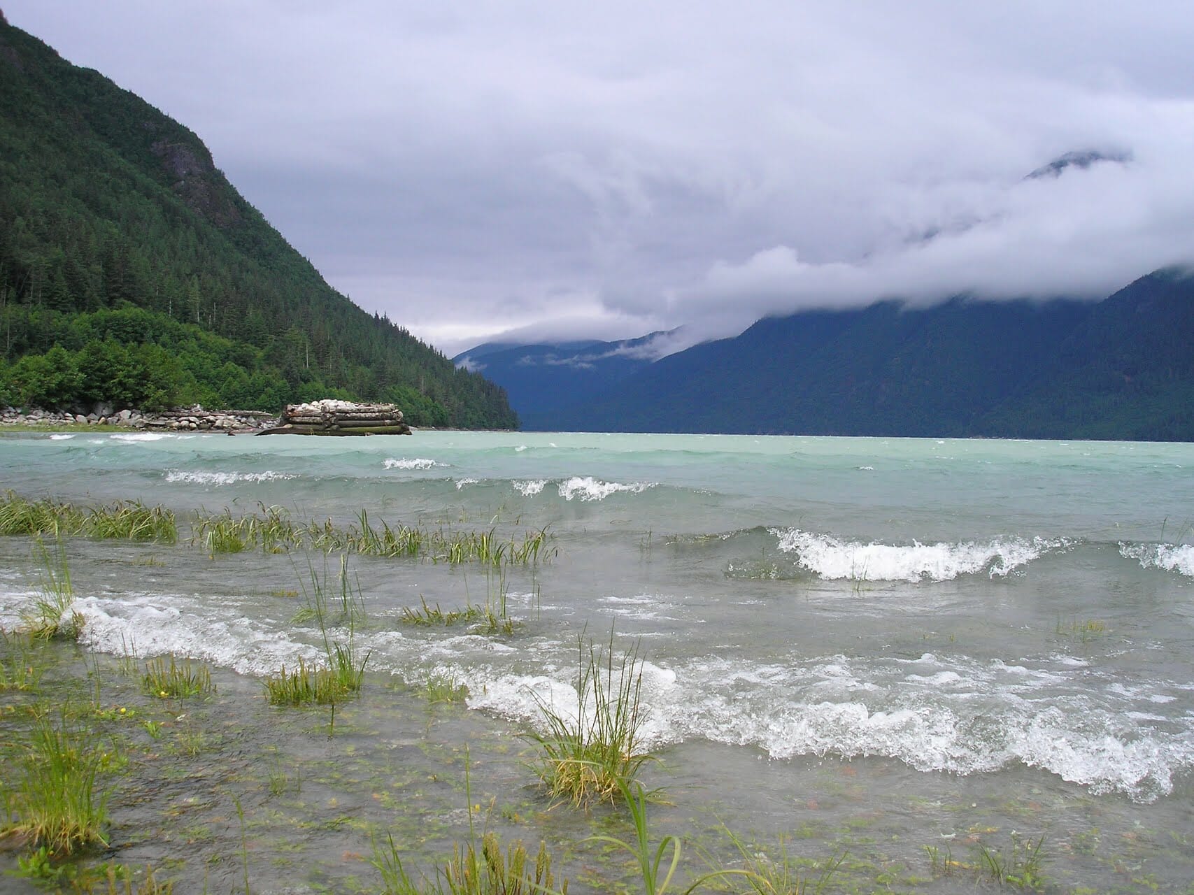 Bella Coola Estuary
