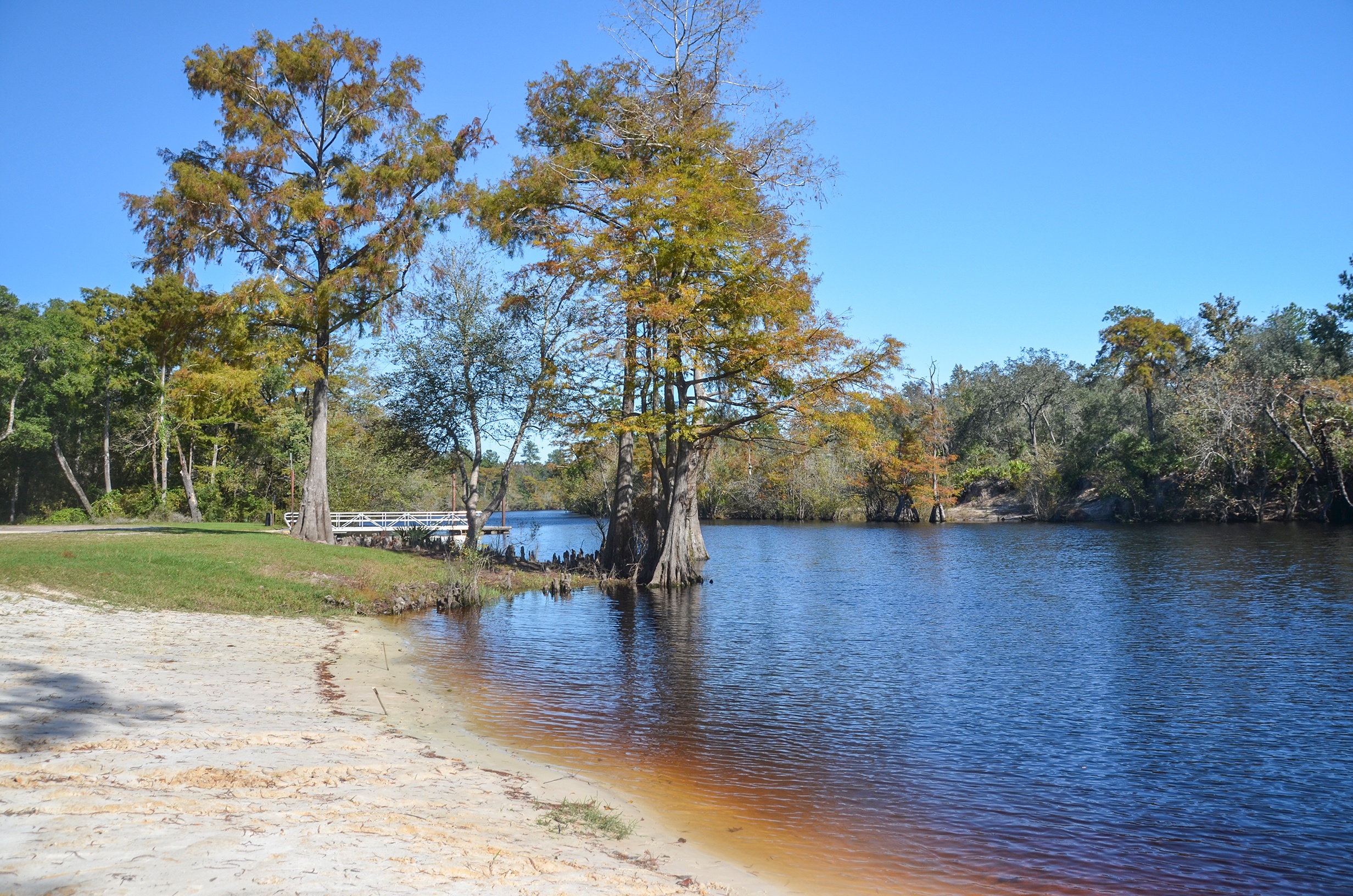 Saint Marys River Fish Camp at Scotts Landing Rd