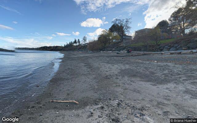 Sayward Beach