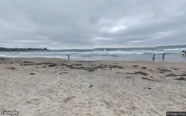 Scripps Pier - 1,000 south of pier