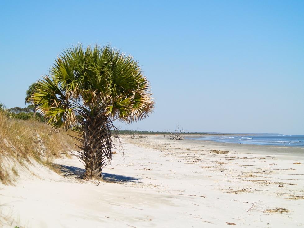South Ossabaw