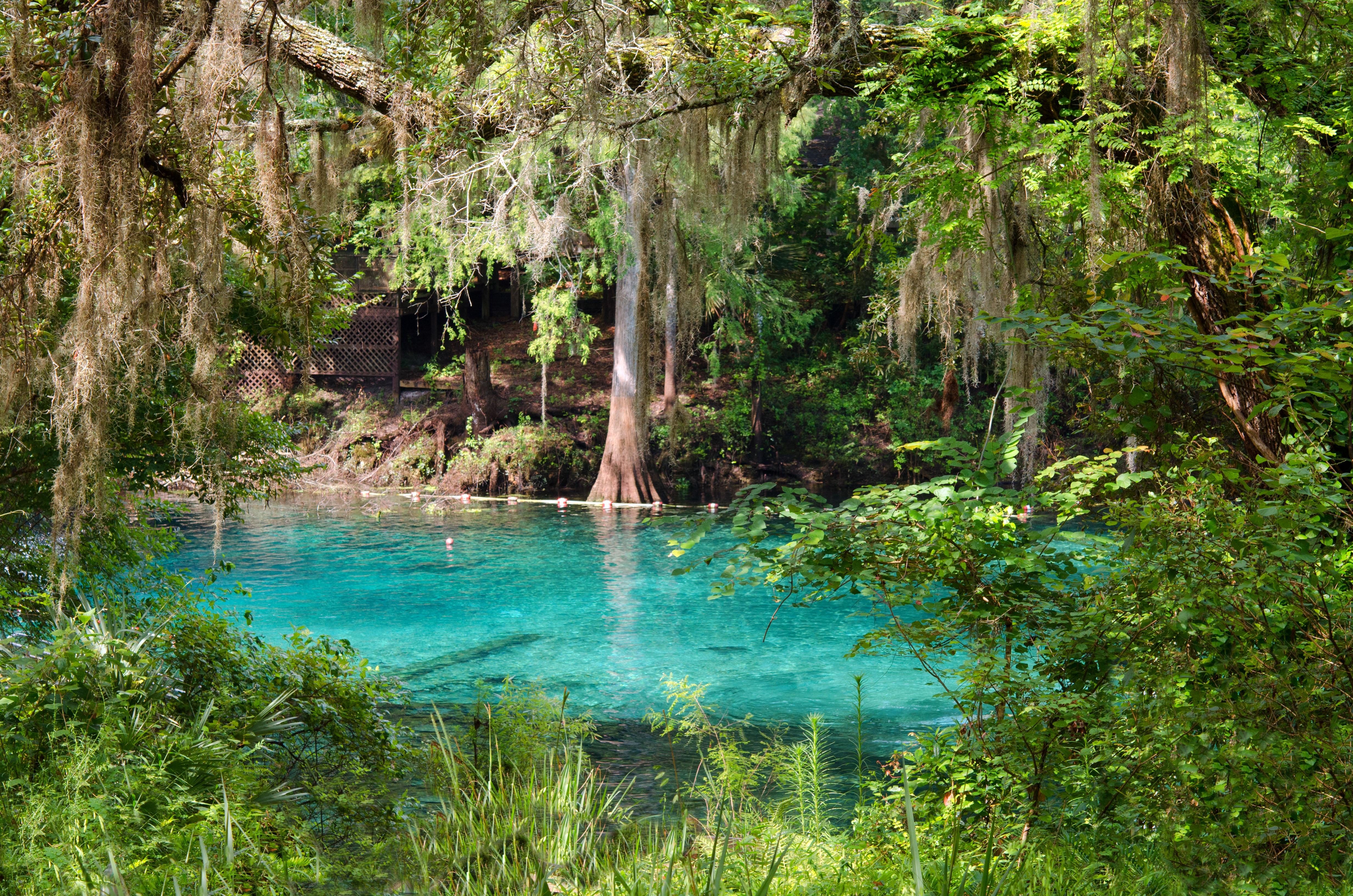 Fanning Springs