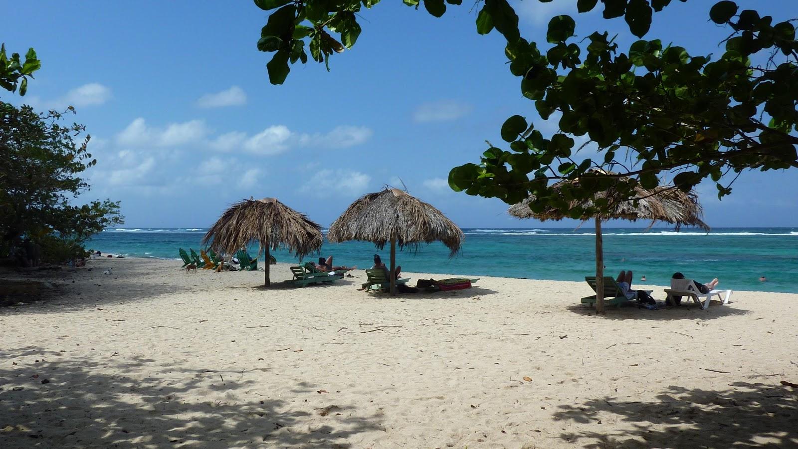 Playa Maguana