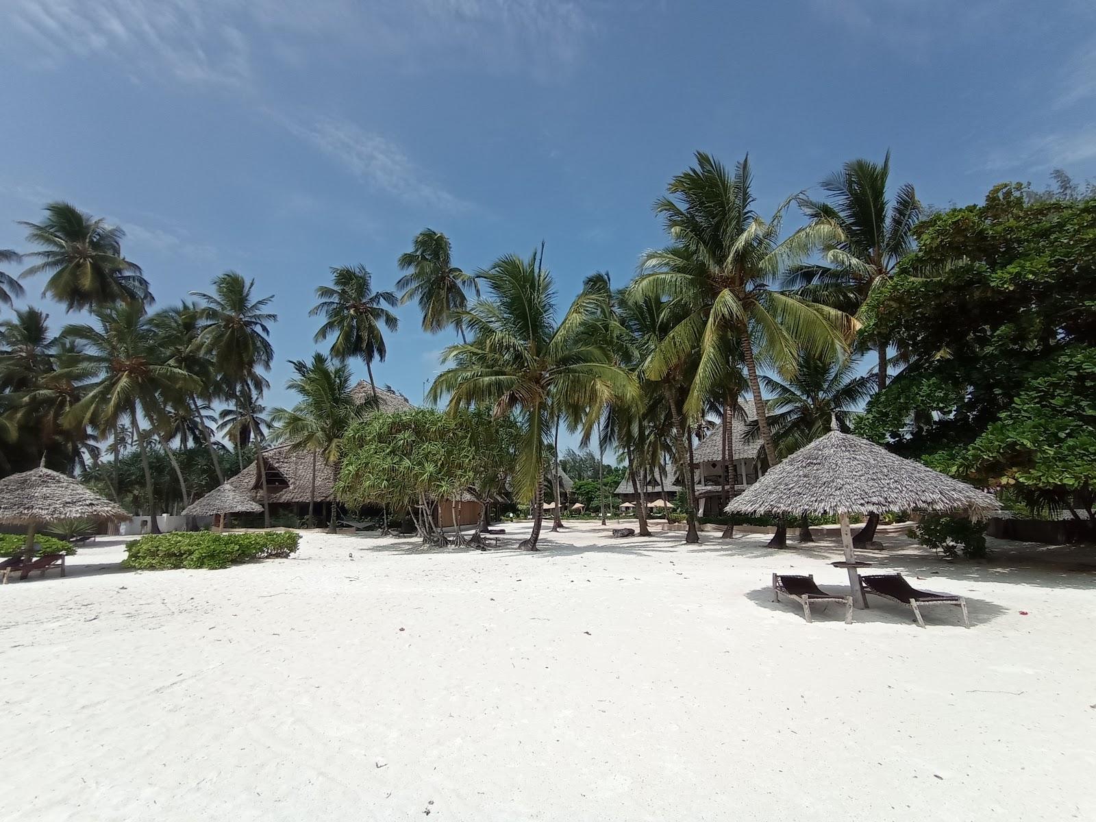 Pongwe Beach
