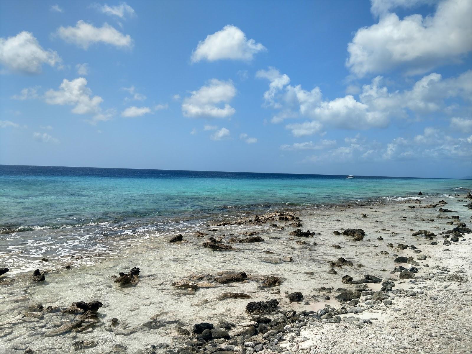 The Lake