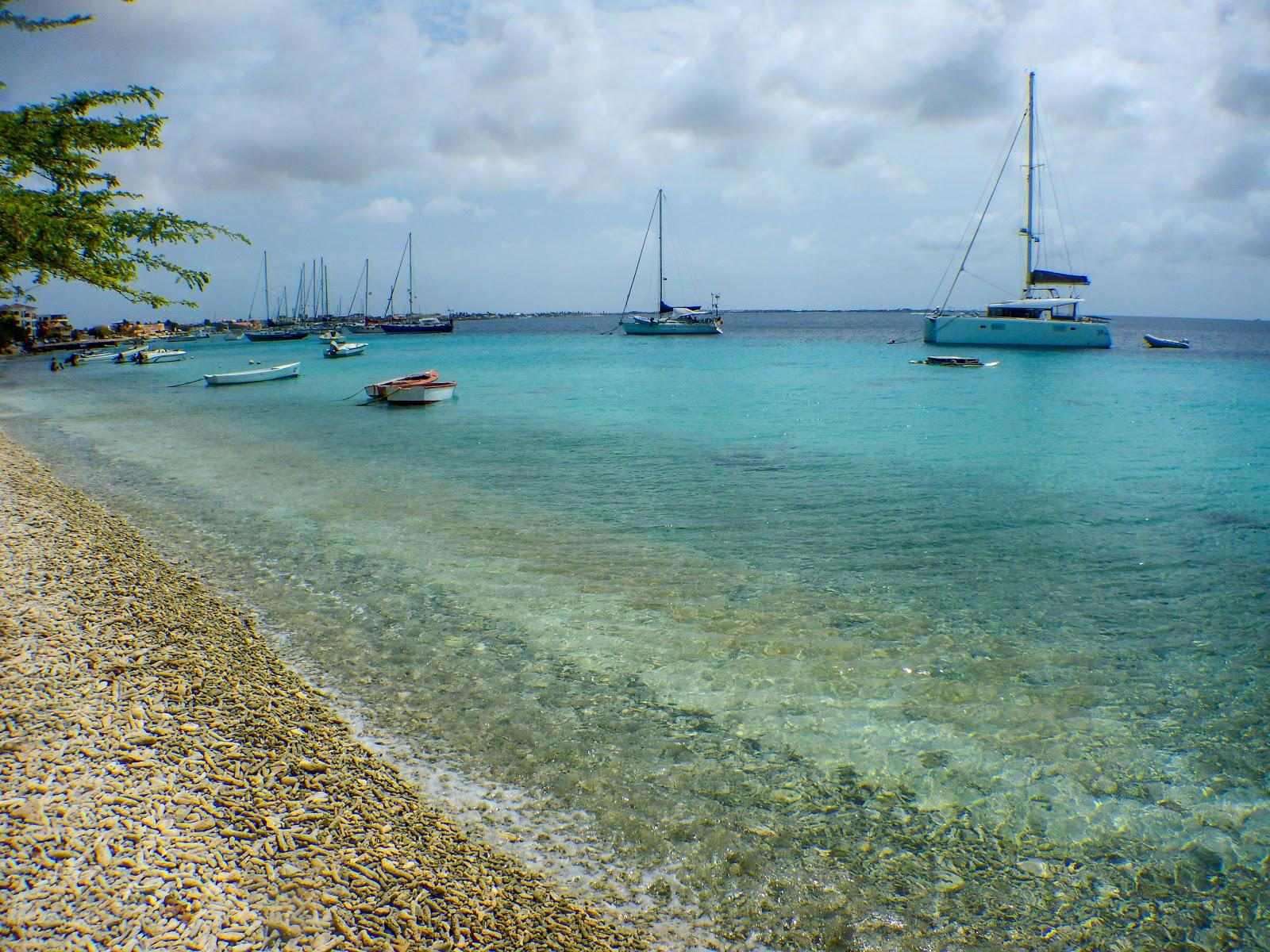 Vakantiehuis Pelican Reef