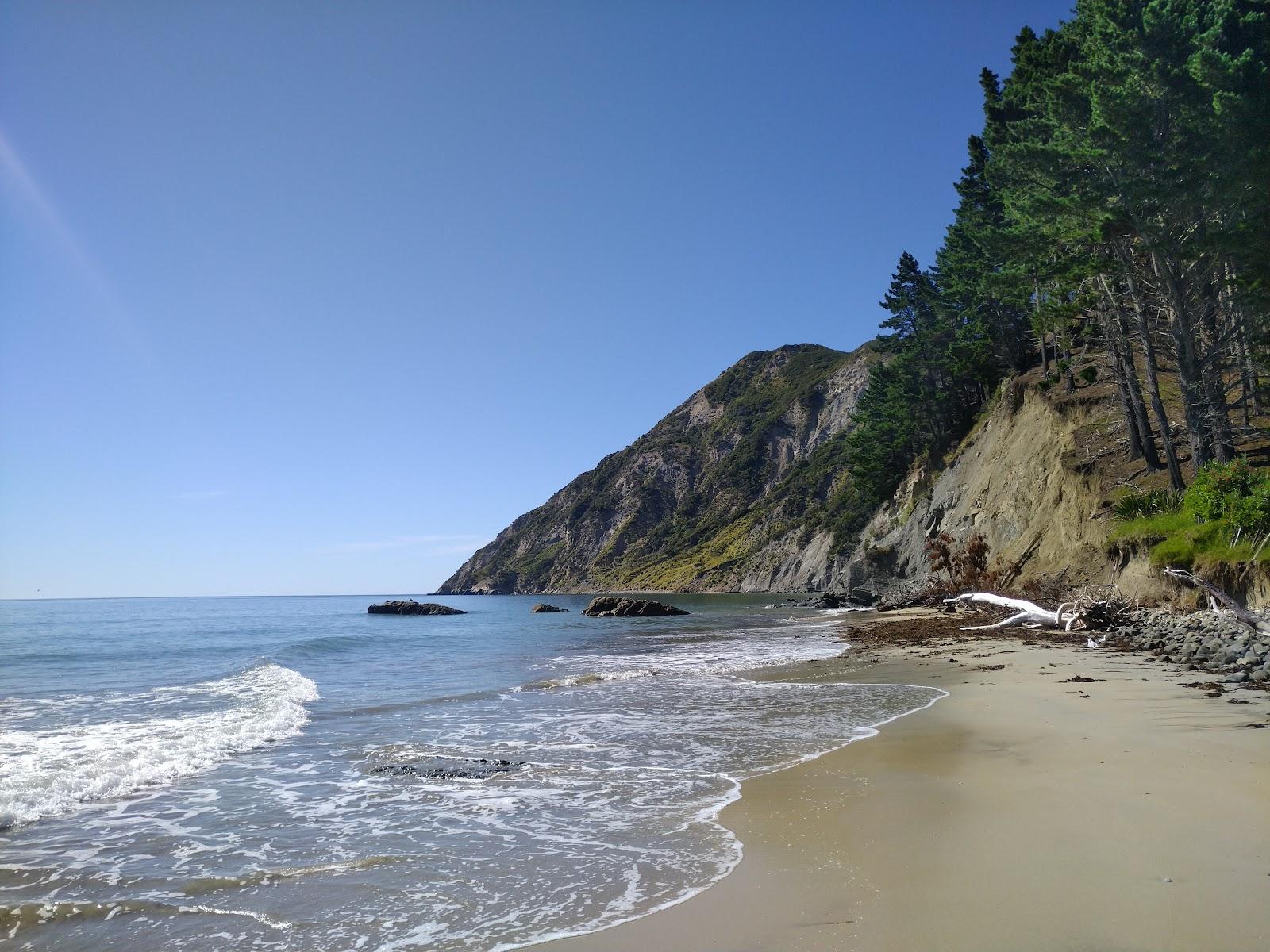 Anaura Beach