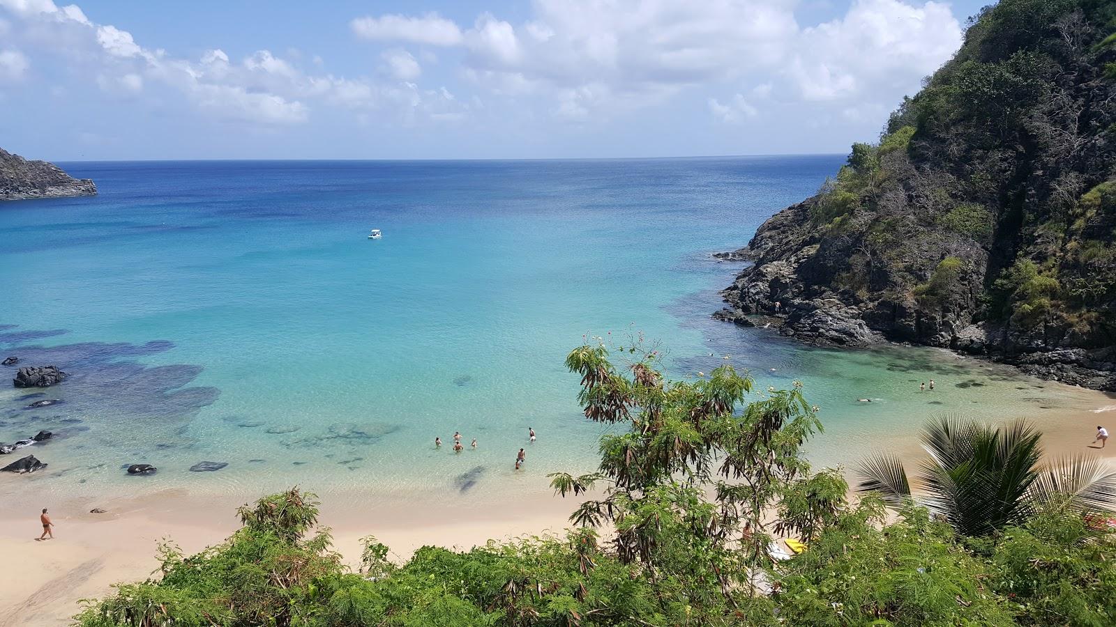 Praia do Cachorro