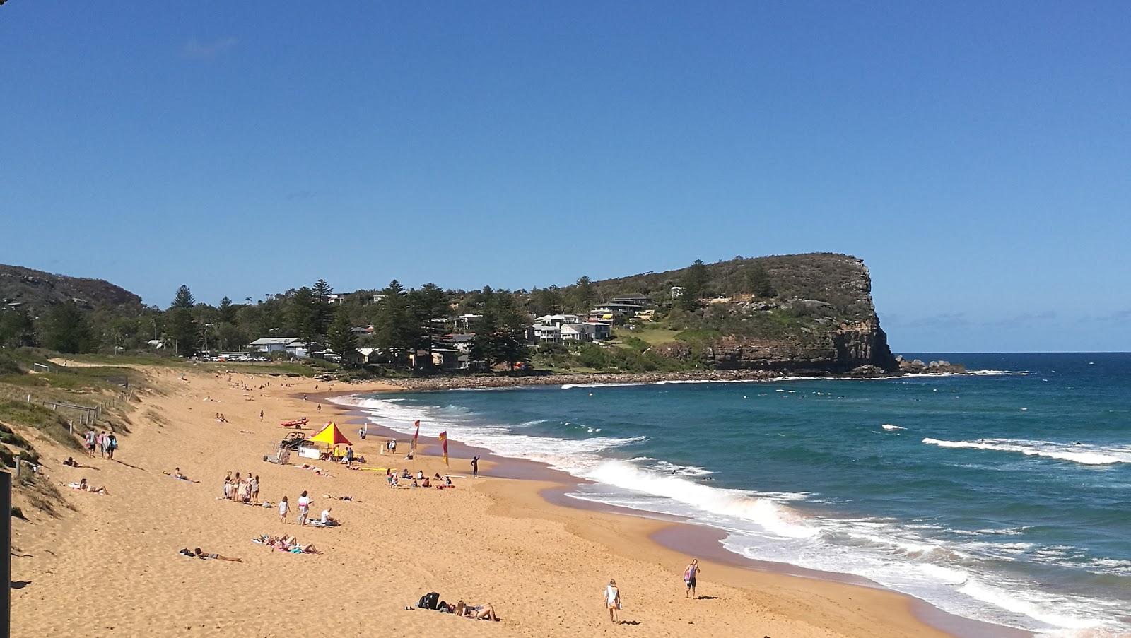 Avalon Beach