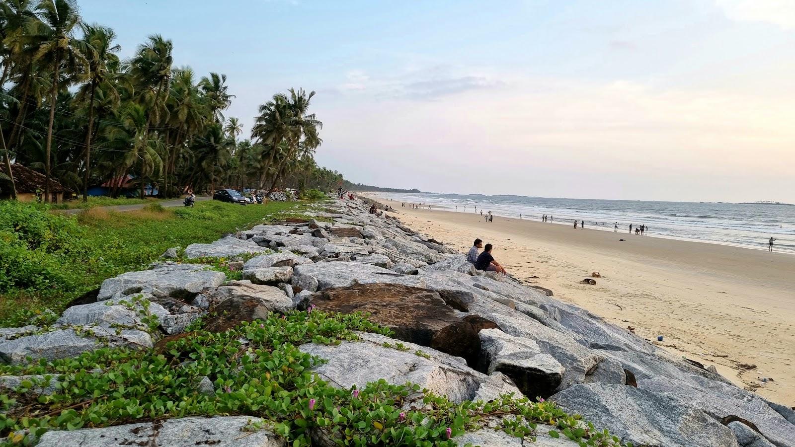 Delta Beach Backwater