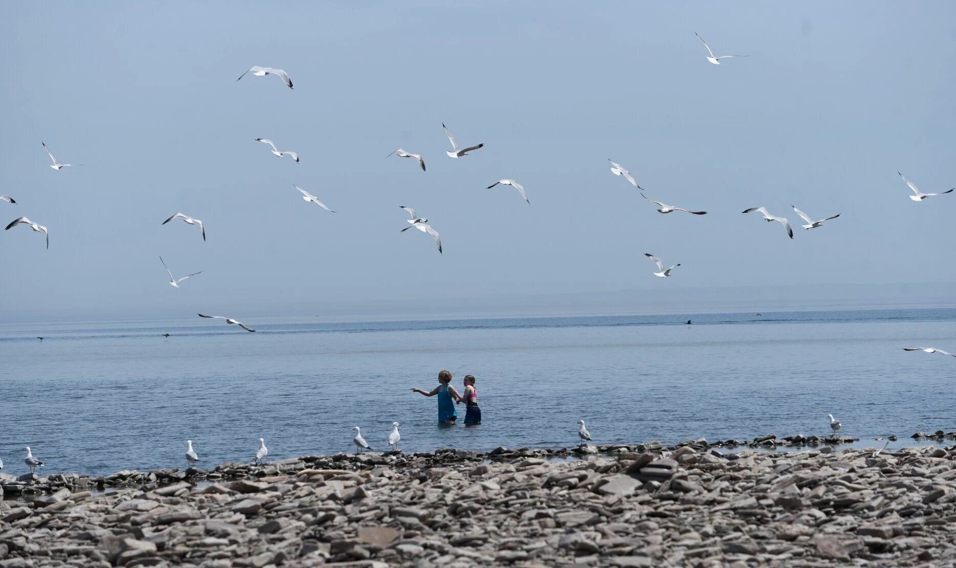 Brant Street Beach