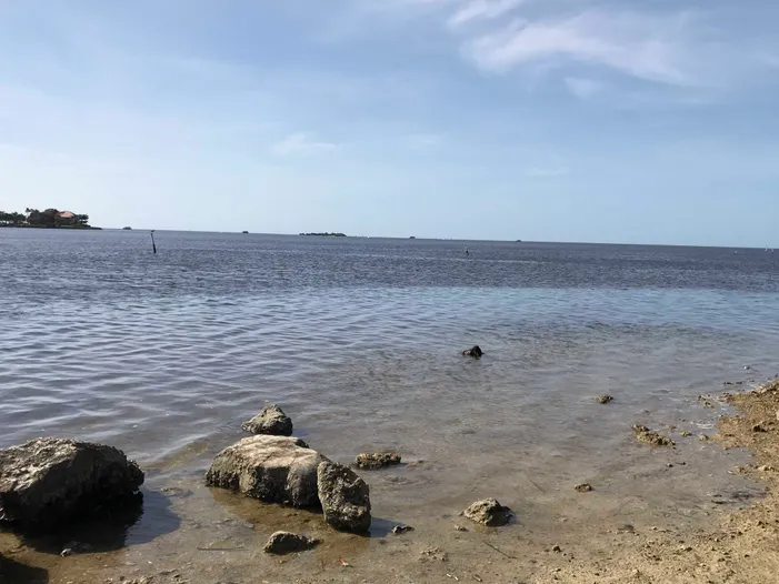 Brasher Park Beach