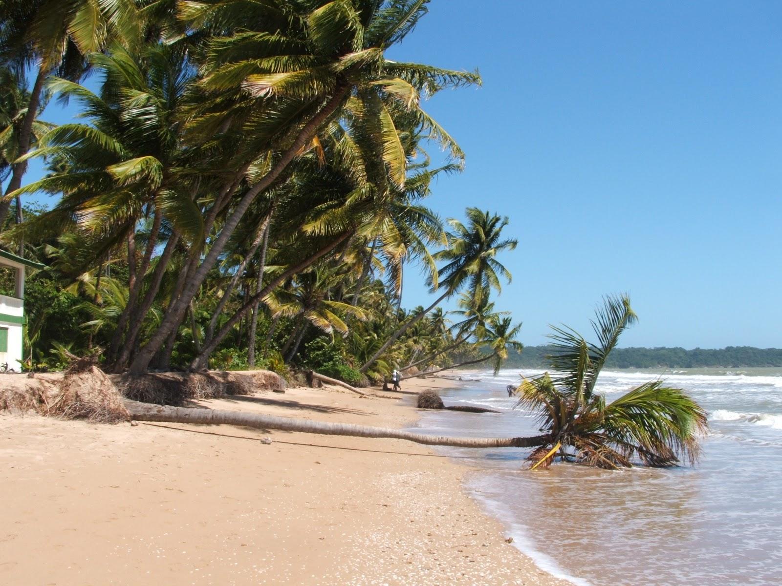 Mayaro beach