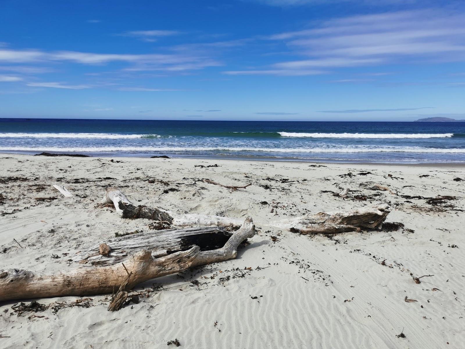 Karitane Beach