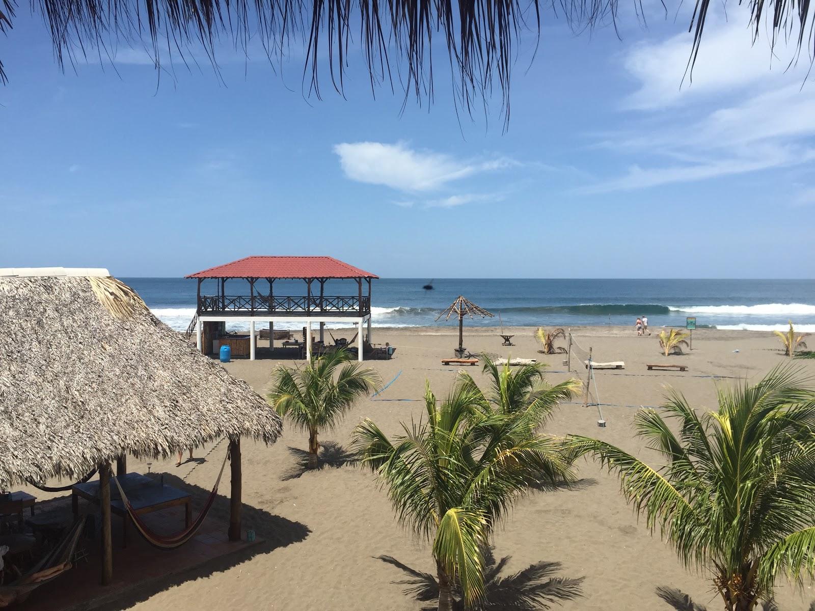 Surfing Turtle beach