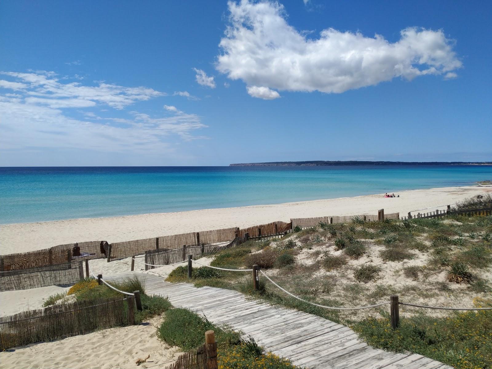 Platja Es Arenals