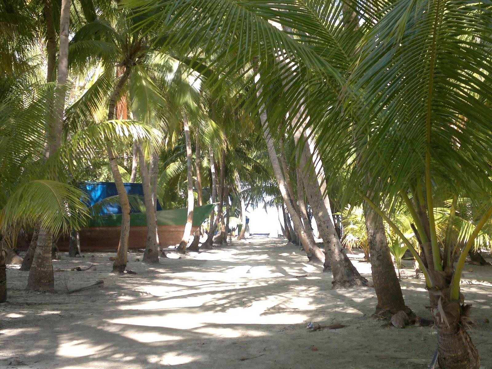 Magoodhoo Beach II