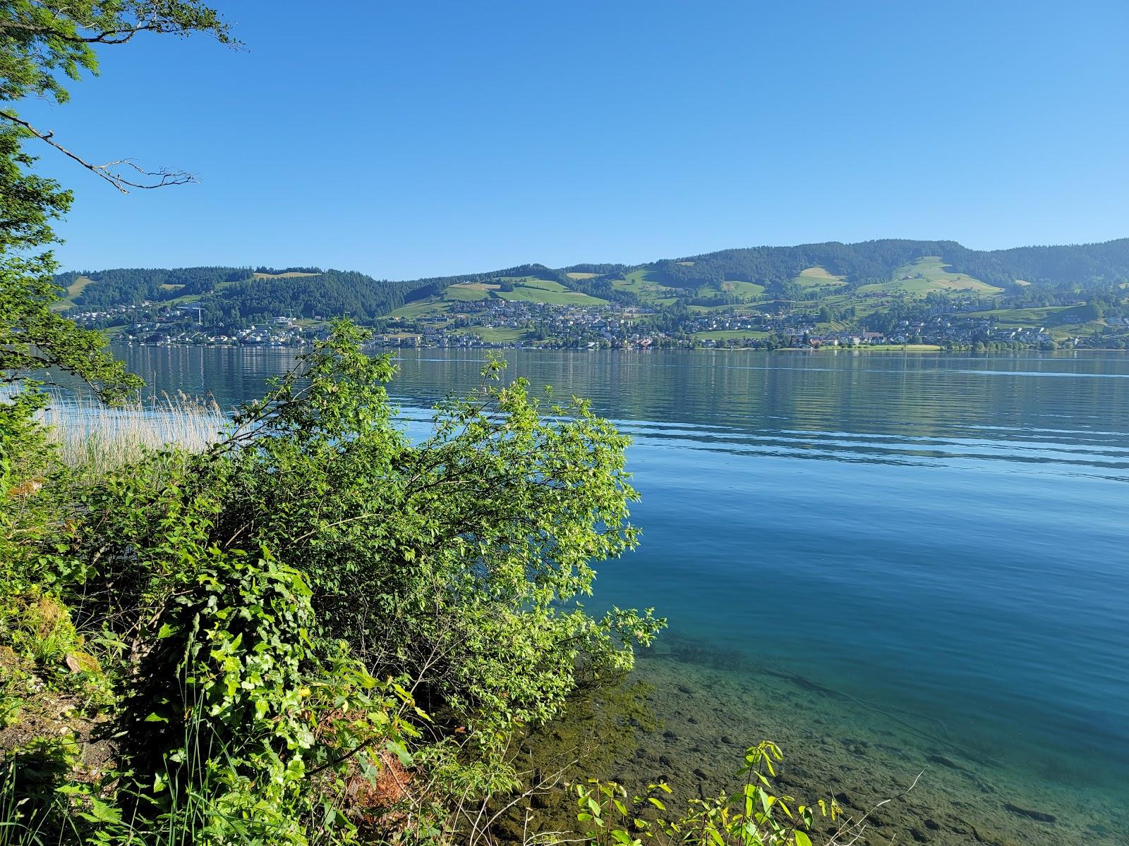 Bergwald Beach