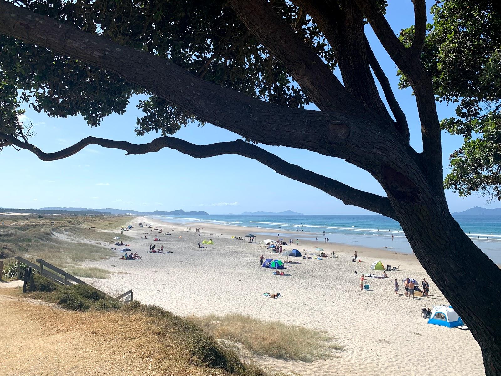Te Arai Beach