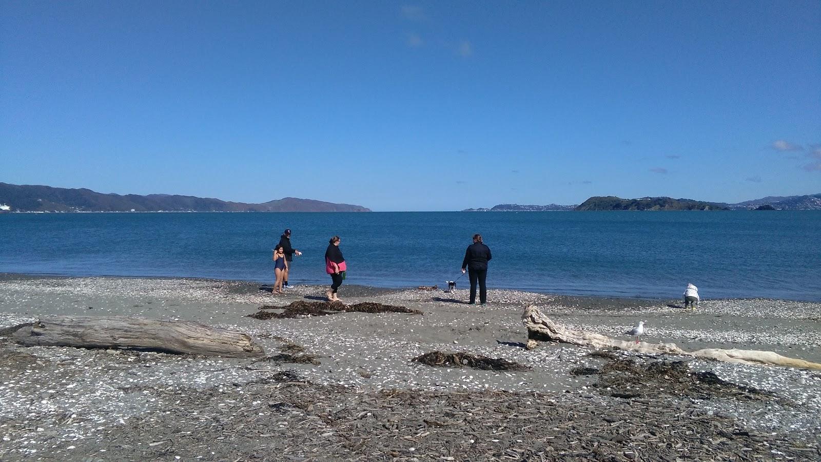 Petone Beach