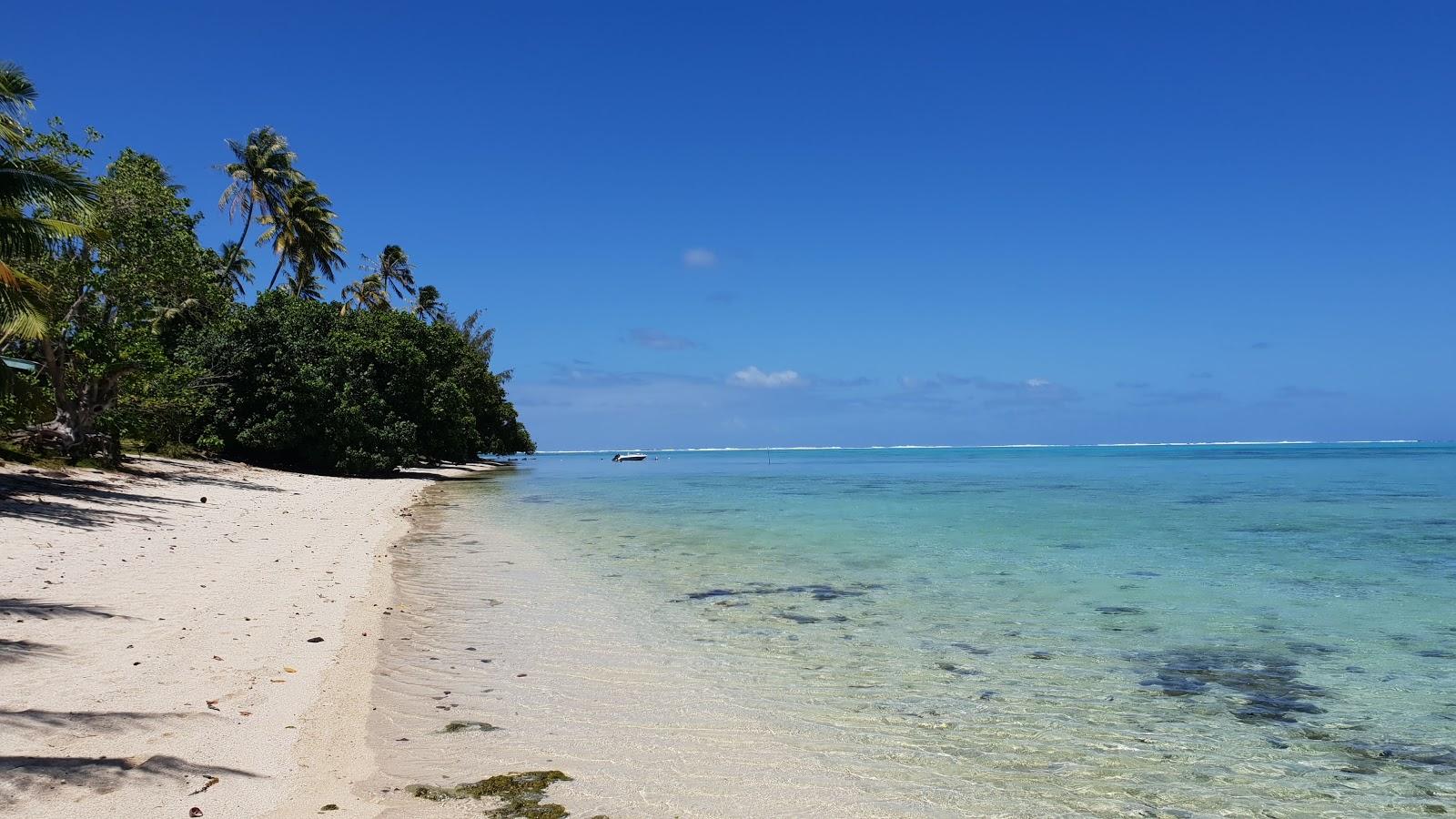 Avea Beach