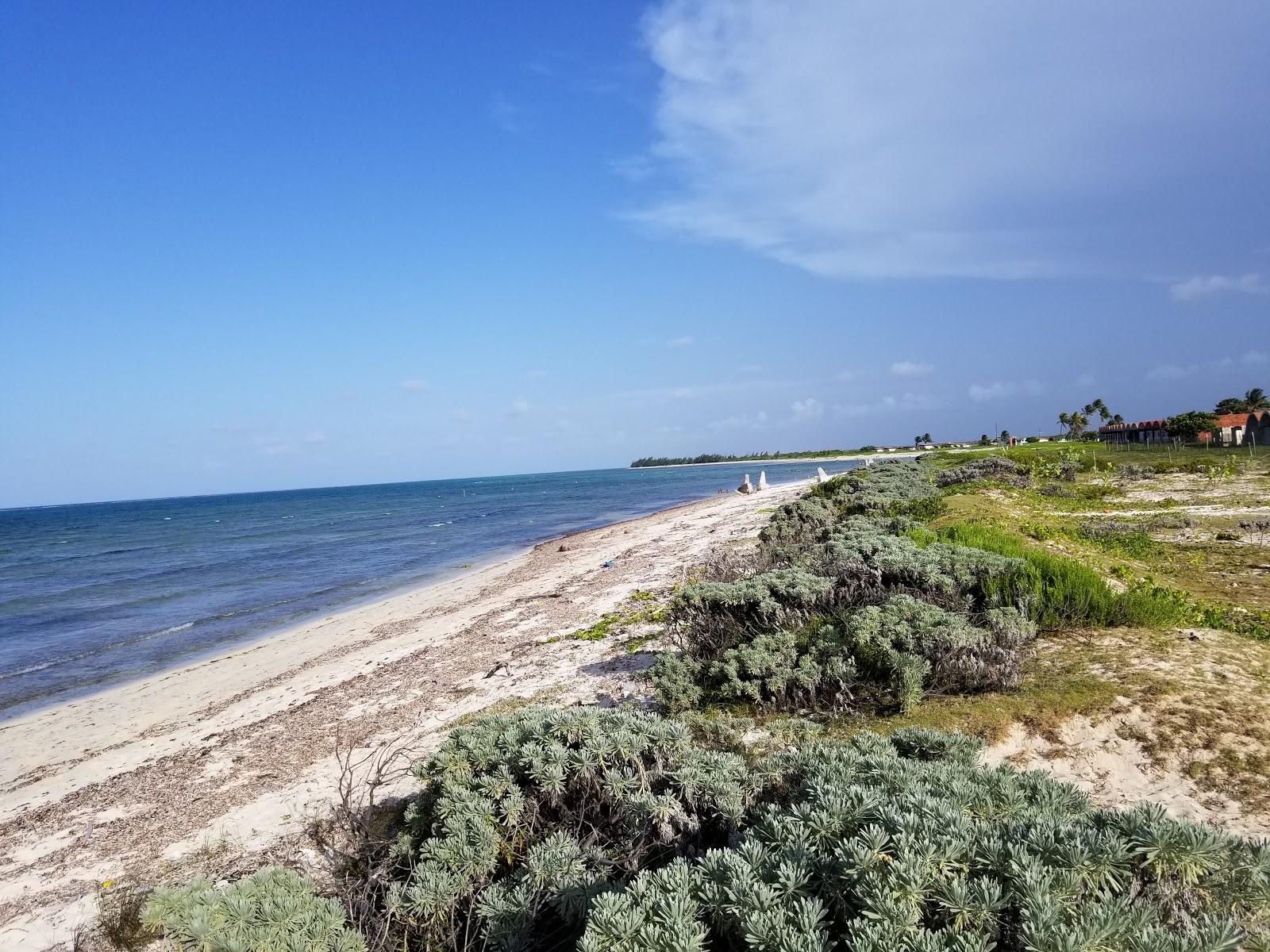 Playa Punta De Ganado