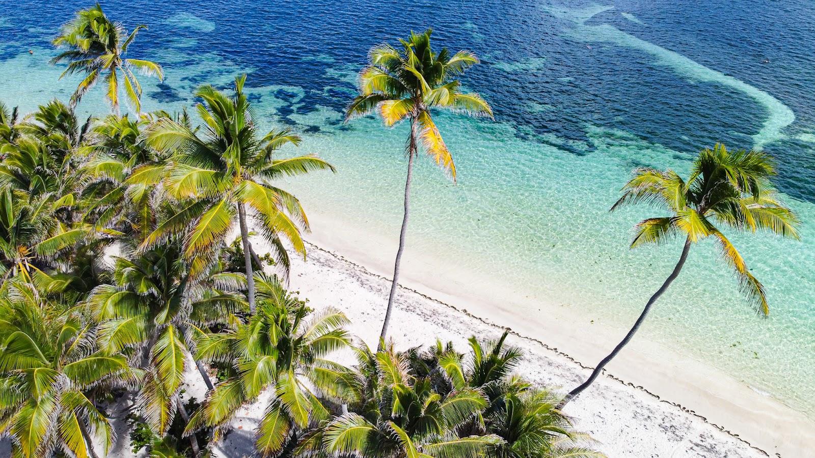 Anse Michel beach