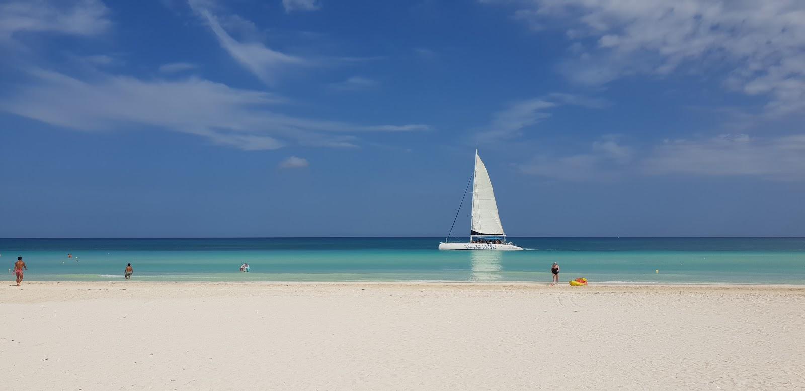 Playa Mojito