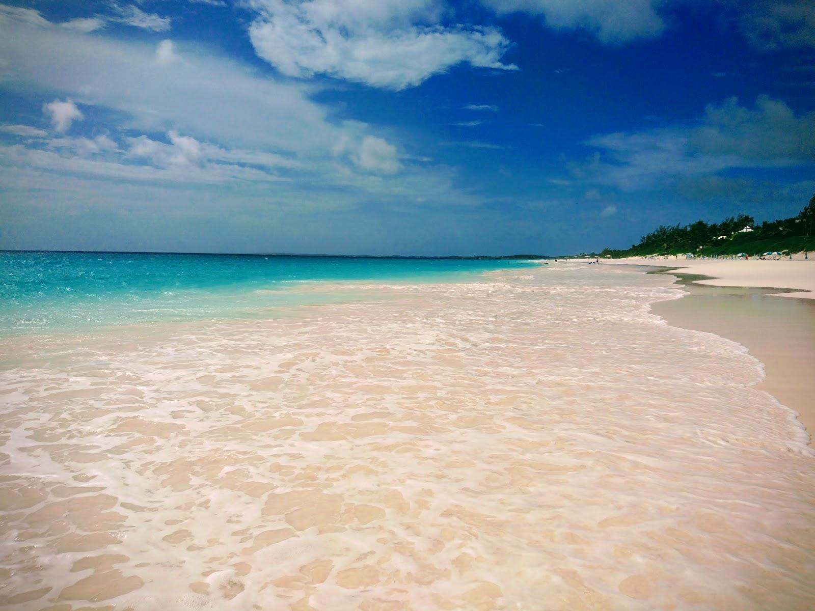 Pink sands beach
